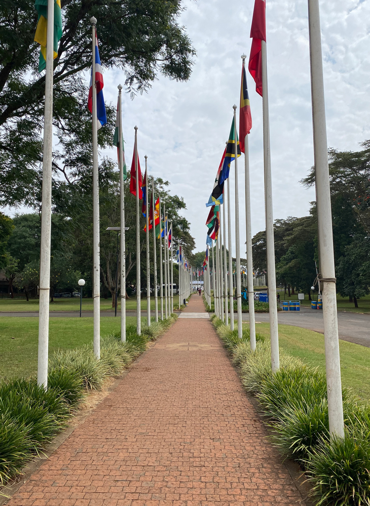 [Flag-lined entrance to the United Nations Offices in Nairobi]